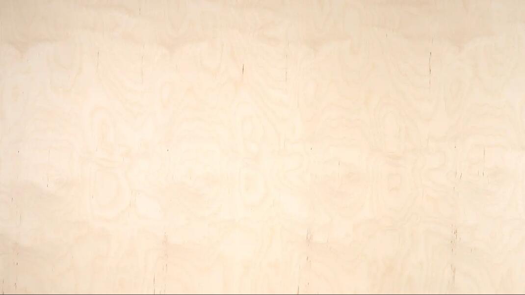 Birch plywood grade 1 B birch veneer