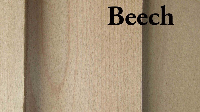 Beech plywood