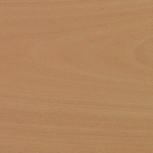 Beech Plywood