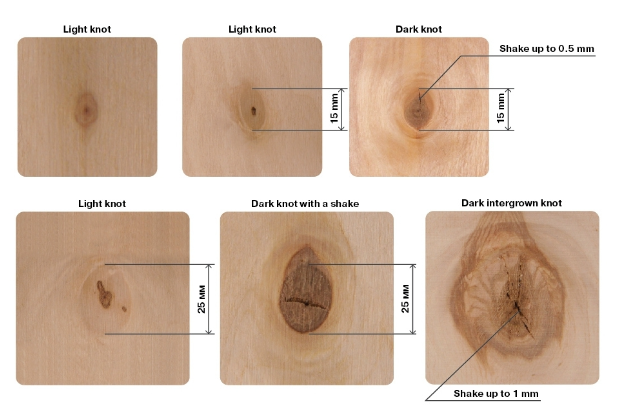 Birch plywood grade 12 Birch plywood grade